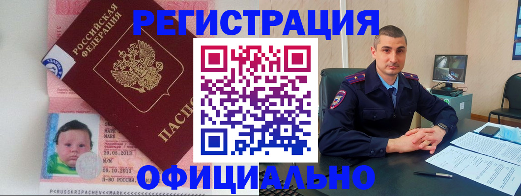 прописка поиск в Тынде